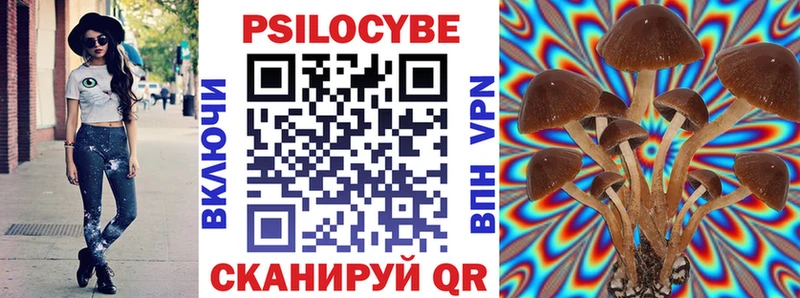 магазин  наркотиков  Шадринск  Псилоцибиновые грибы прущие грибы 