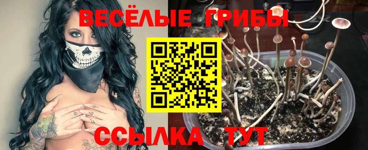 Псилоцибиновые грибы ЛСД Шадринск