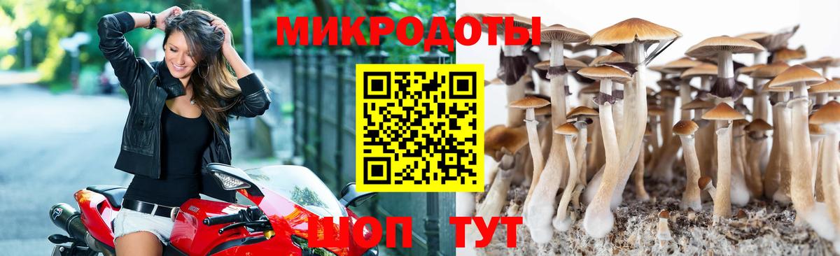 Галлюциногенные грибы ЛСД  Вход с VPN  Шадринск 