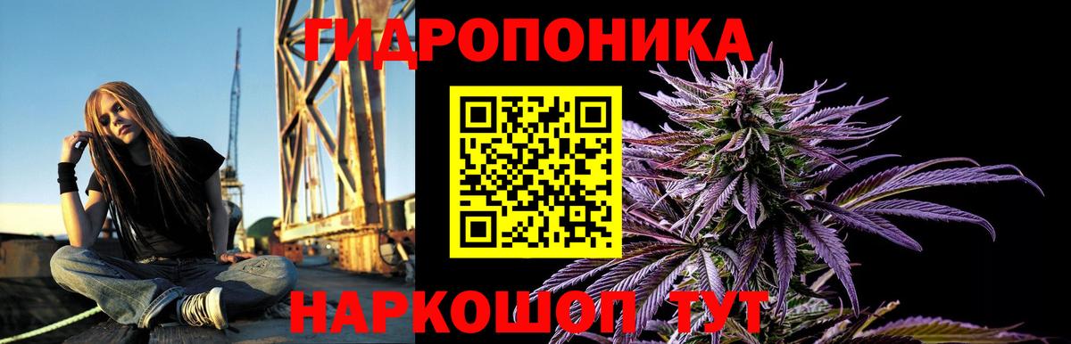 Каннабис семена  Шадринск  Бошки марихуана индика  Бошки марихуана Ganja 